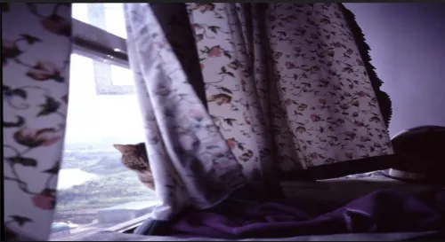 阿喵的十二道陰影。卷一