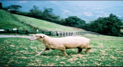 謝謝你，我懂了