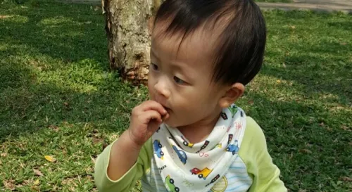 11個月了，我喜歡看他爬得滿身泥