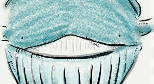 可不可以將煩惱都裝進鯨魚的大肚量