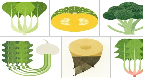 溫暖平實的蔬果插畫