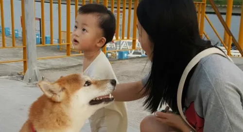 美堤河濱公園夕照