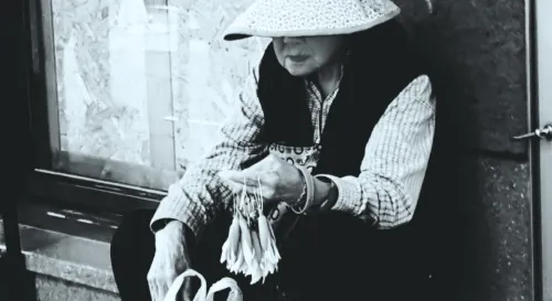 玉蘭花串起的是生活還是生命的延續