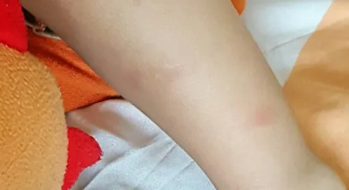 香九齡、能溫席。悠二齡，效之。