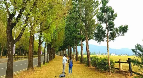 回首當年校園點滴， 青春早已不復存在。