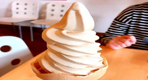 知道為什麼要放棄減肥嗎因為一直解釋失敗的原因，真的很累人