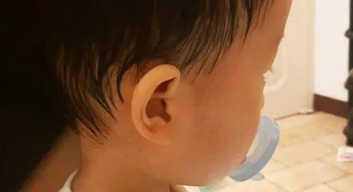 努力過的汗水最令人激賞