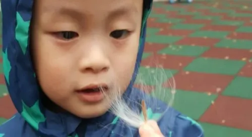 有一天你也會有堅強的翅膀帶著你去看看這個世界