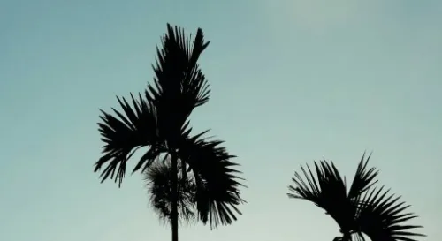 沒錯，我回到屏東了。