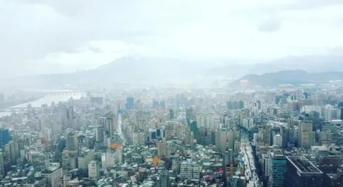 比起密集的城市我還是喜歡家鄉的檳榔樹