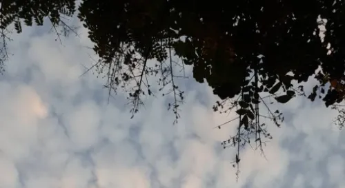 傍晚的天空出現美麗的高積雲