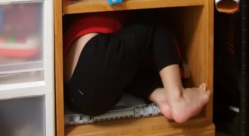 所以你以為你是一隻貓