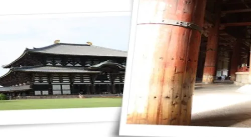 去京阪走走之奈良公園