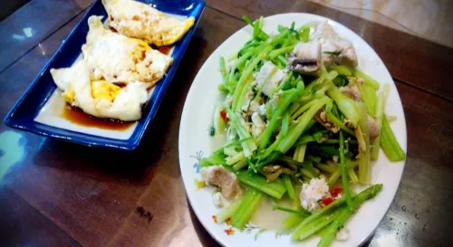 今晚，來盤鯊魚炒芹菜。