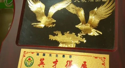 9年的回憶只剩下這個