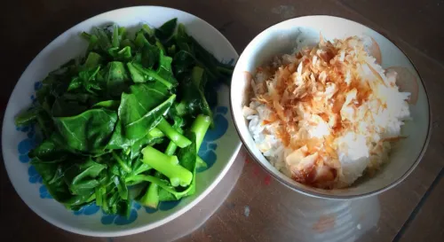 一個人的簡單午餐...貓飯加上洛葵。