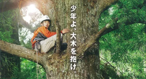 哪啊哪啊神去村