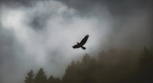 越是偉大的人越能控制自己的情緒