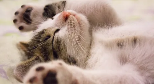 親愛的，你要勇敢去做大一點兒的夢。