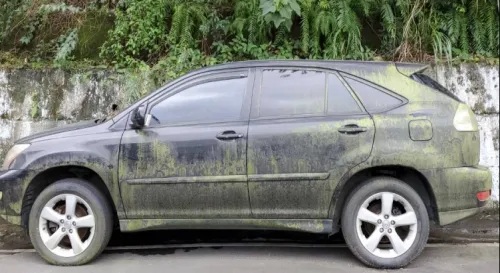 這是新的戰術偽裝還是汐止日常