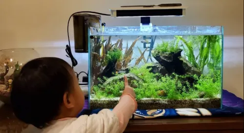 小孩與魚.....缸