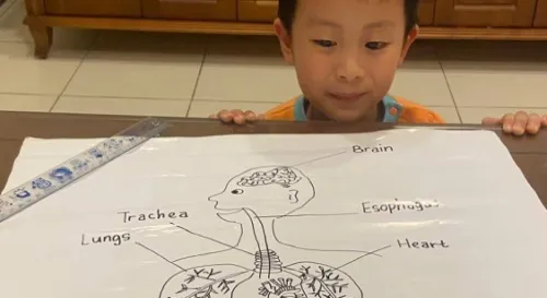 水果月曆畫畫之 人體器官部位