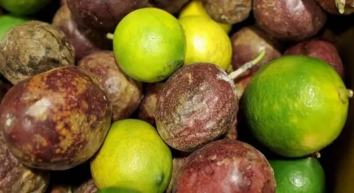 知道檸檬跟百香果的相同點在哪裡嗎