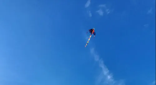 八斗子潮境公園放風箏