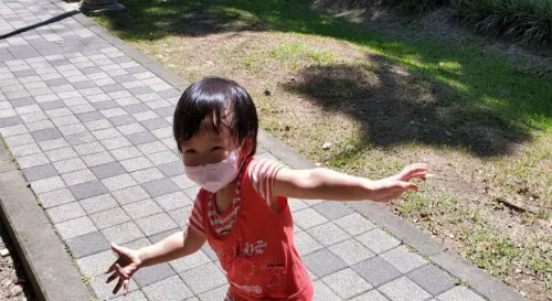 叫螞蟻去面壁是哪招啊