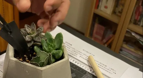 為生活找點樂子