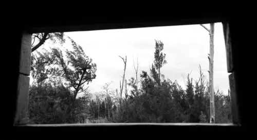 恐懼 帶給人的影響超乎理性預期