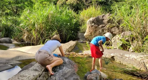 天氣很熱，但溪流很近