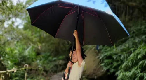 妳兒子講的沒錯！