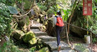 好久不見姜子寮