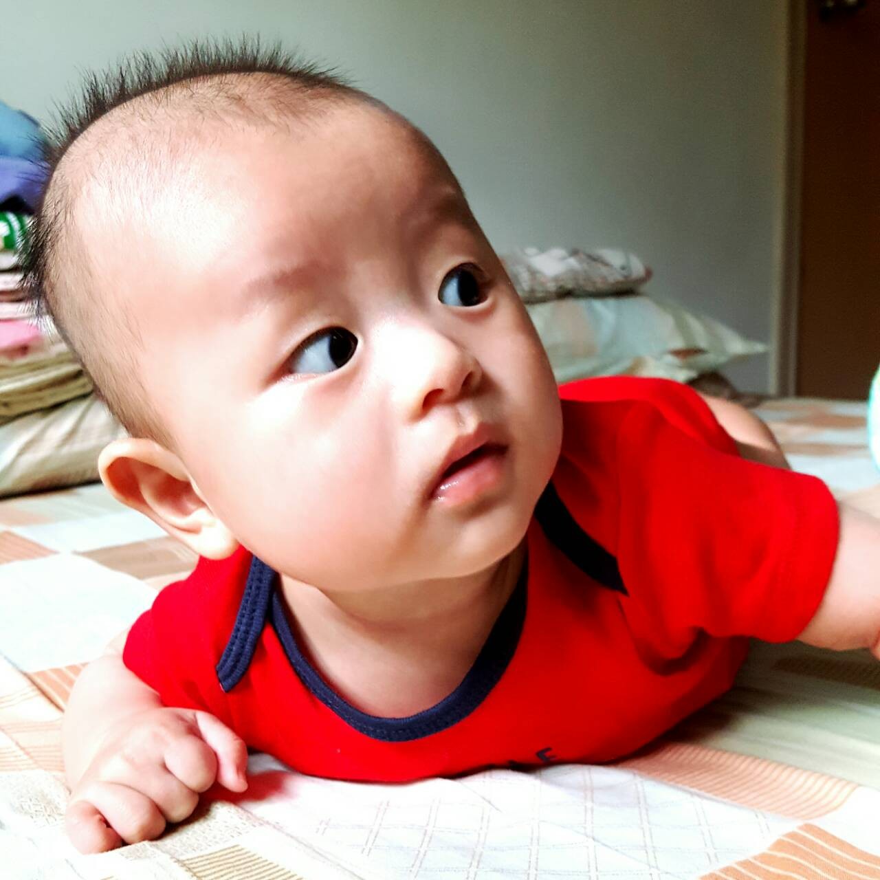 兒子啊~這世界有許多有趣的事物正在等著你呢....努力成長嘿~ 兒子啊~這世界有許多有趣的事物正在等著你呢....努力成長嘿~