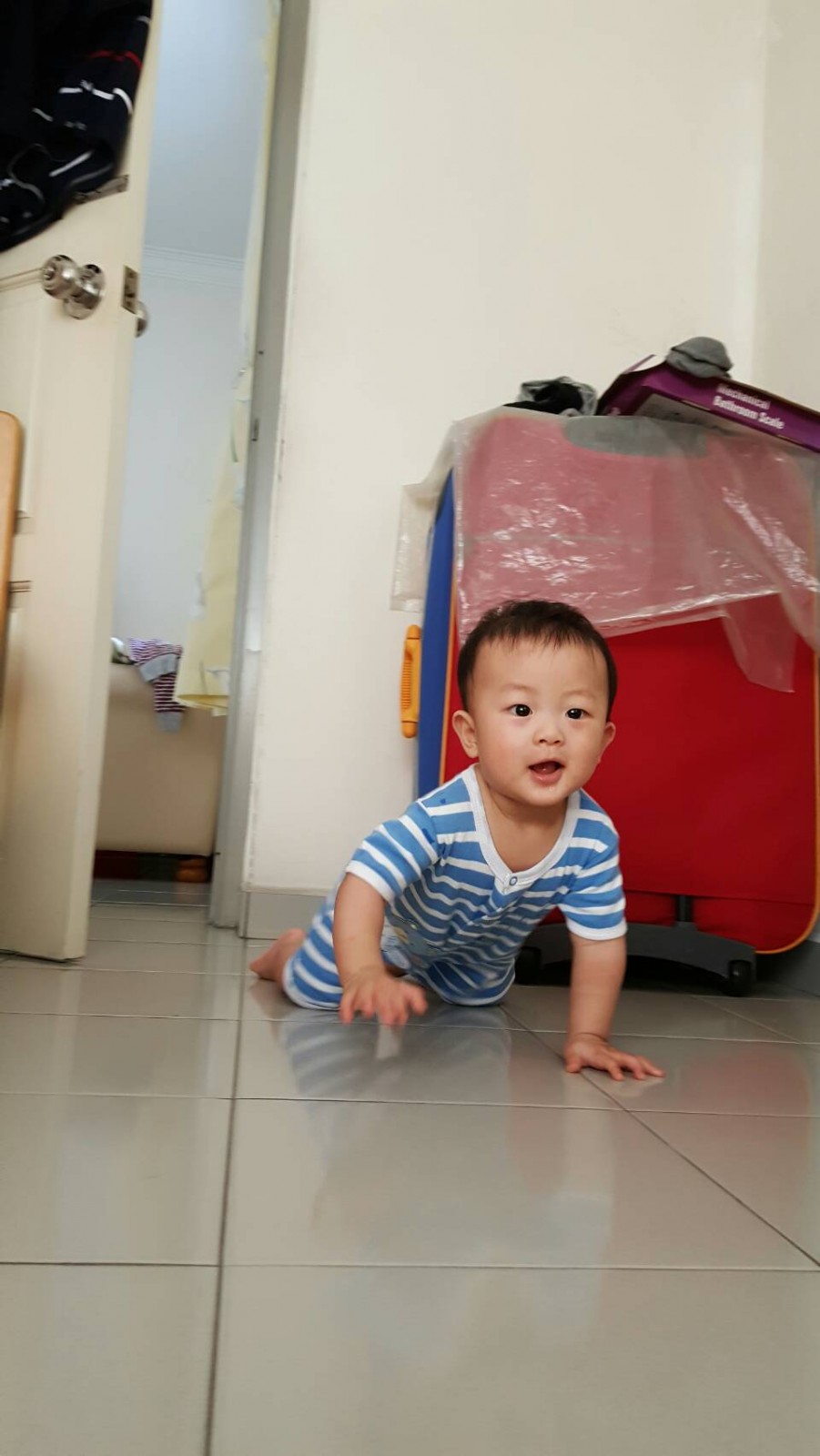 看起來挺歡樂的( ̄∇ ̄) 看起來挺歡樂的( ̄∇ ̄)