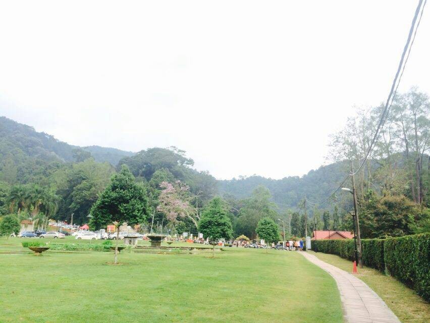 Start my day with botanical garden Start my day with botanical garden