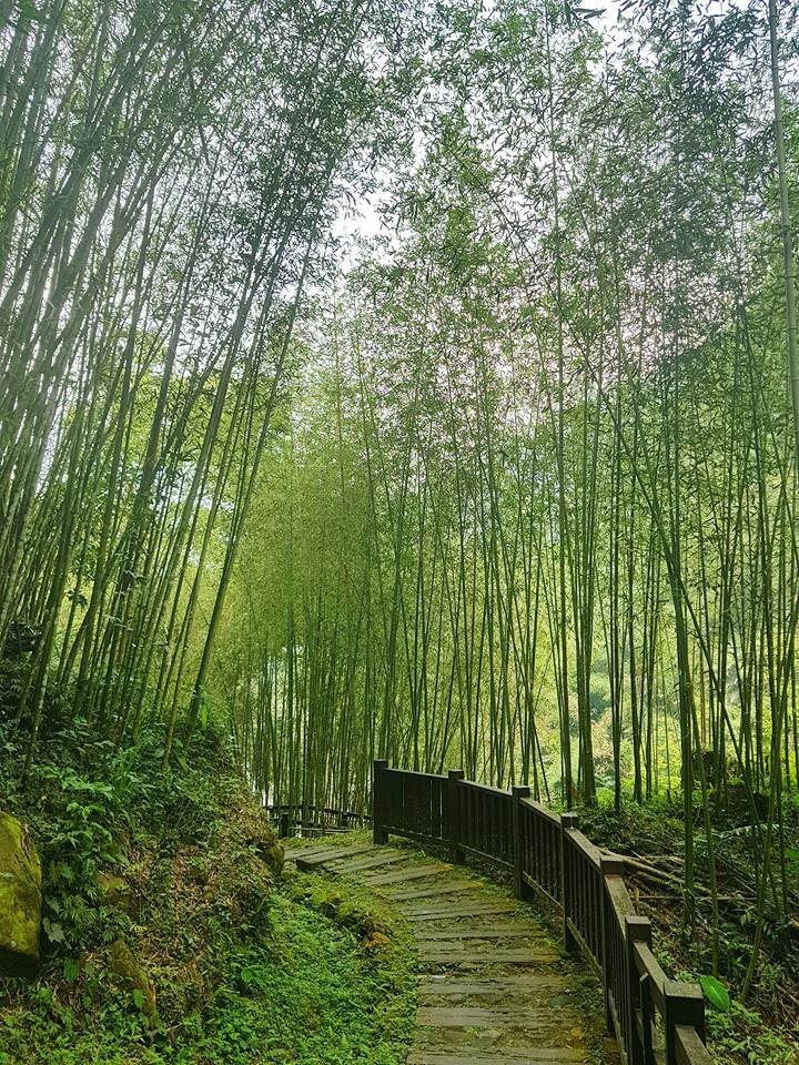 瑞里的三月是紫藤花的季節~ 瑞里的三月是紫藤花的季節~