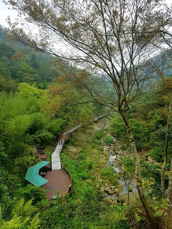 話說今日在綠色隧道迷路,幸好遇見一隻小黑狗,一路指引並陪伴著我們,等我們順利下山後,牠才調頭回家,感覺真神奇~ 話說今日在綠色隧道迷路,幸好遇見一隻小黑狗,一路指引並陪伴著我們,等我們順利下山後,牠才調頭回家,感覺真神奇~