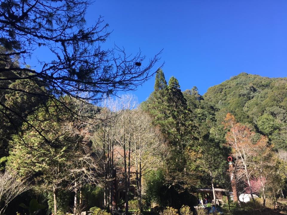 杉林溪爬山趣 杉林溪爬山趣